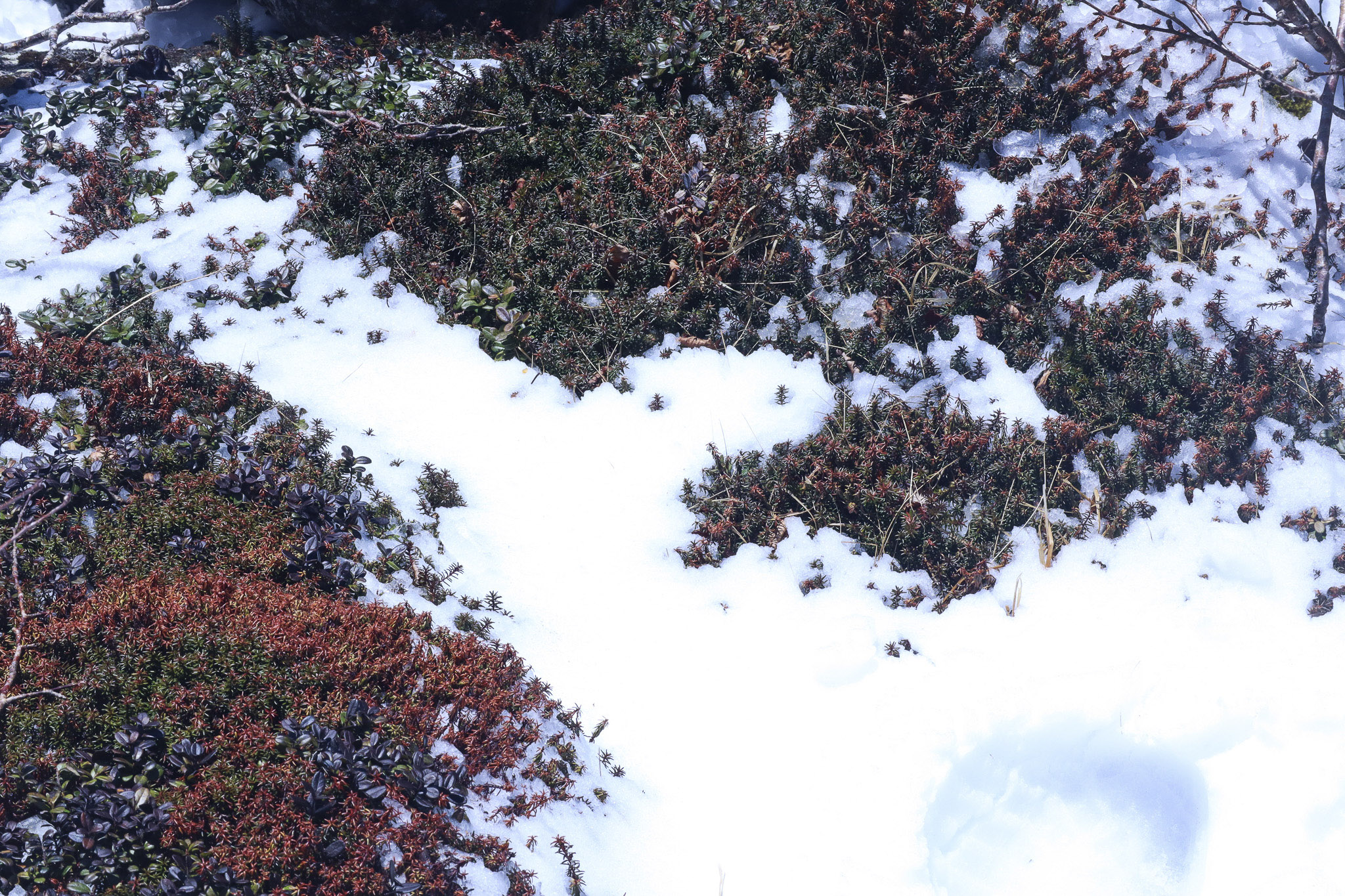 image4