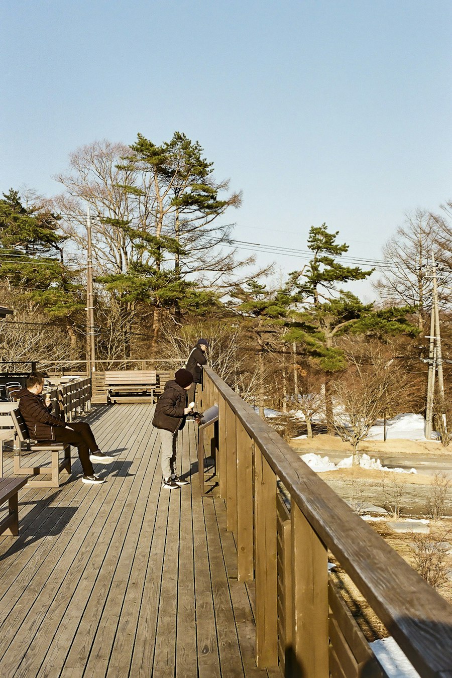 image12
