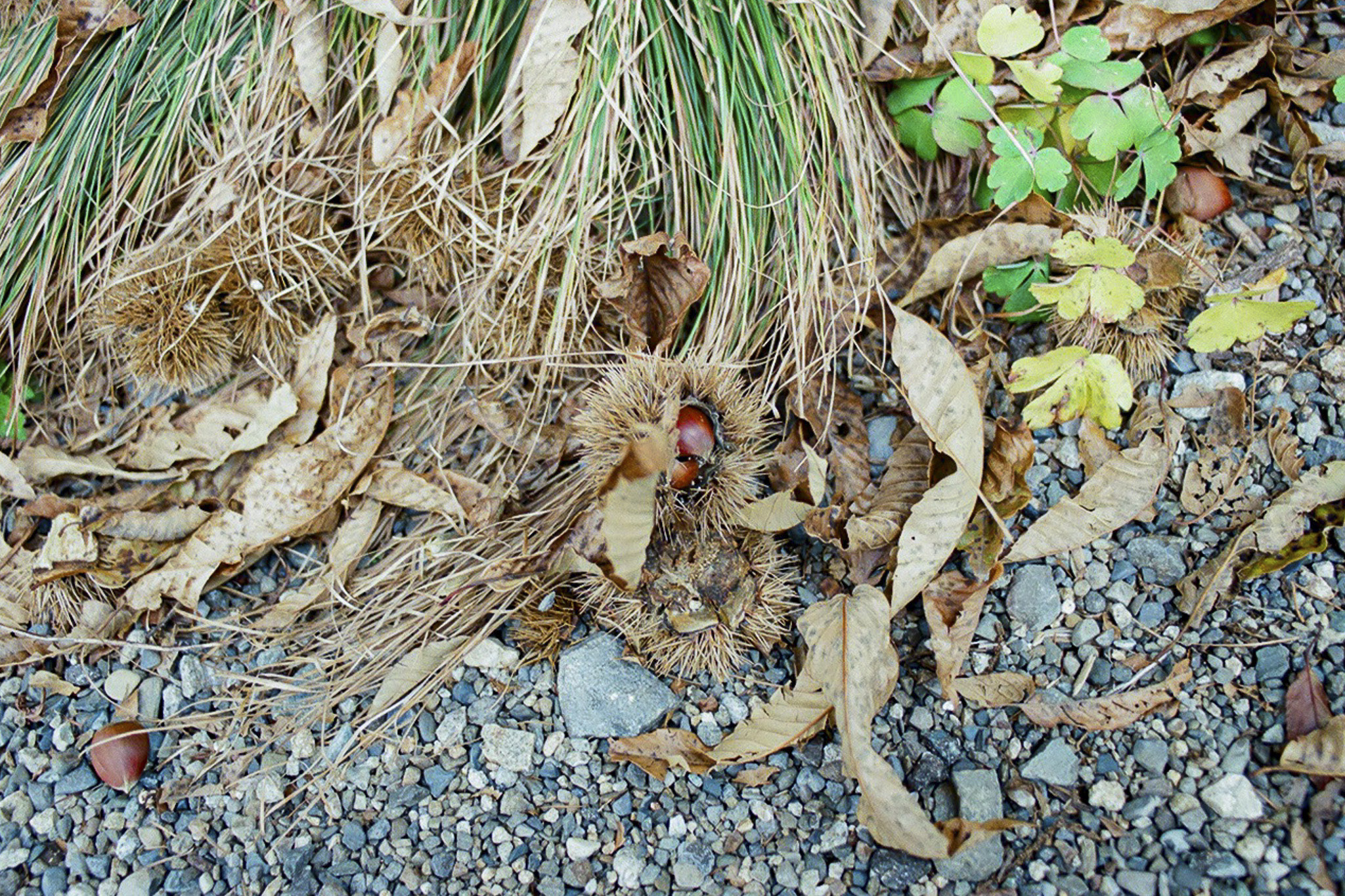 image5