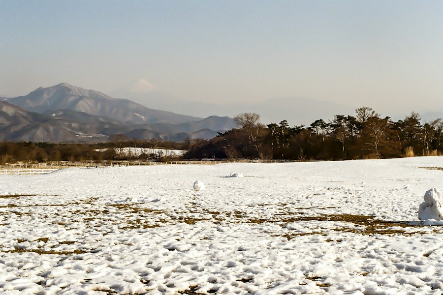 冬