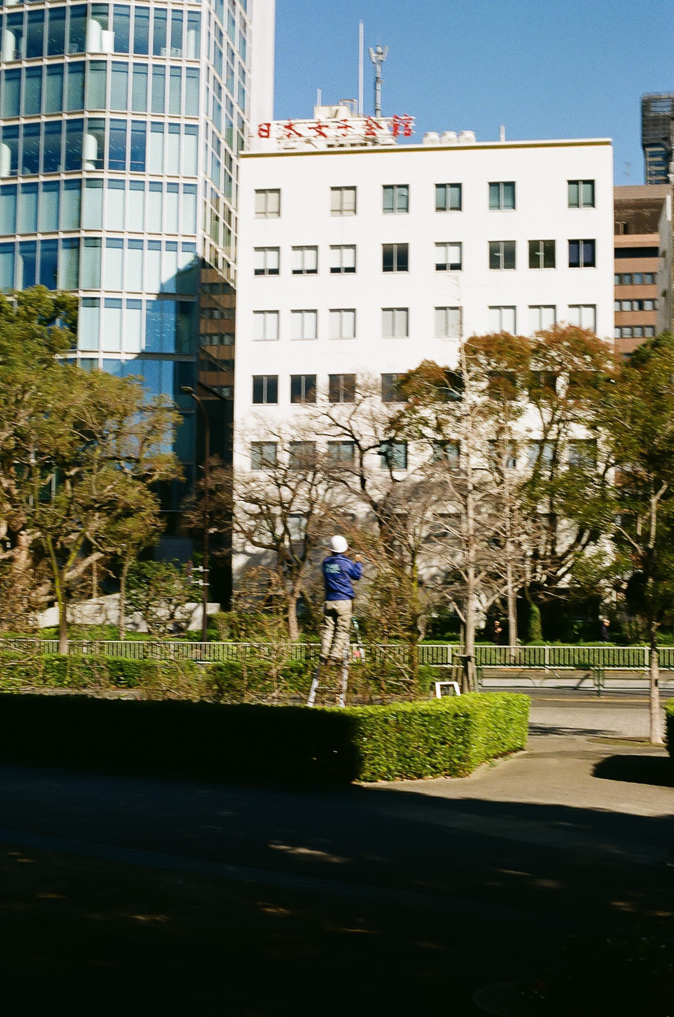 image7