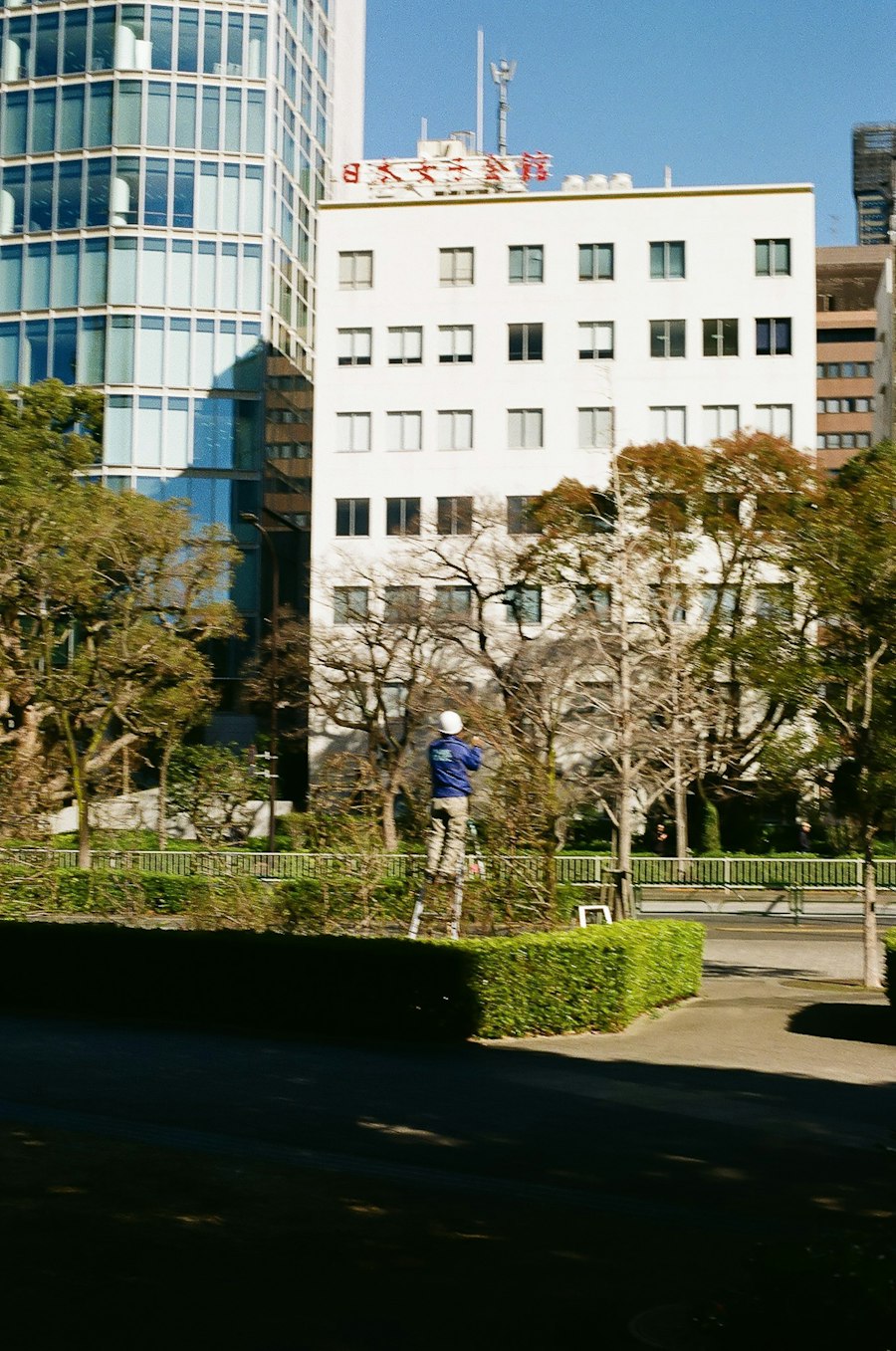 image7