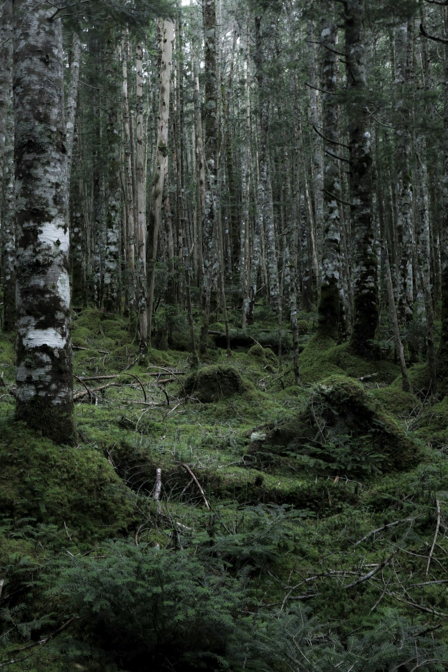 image5