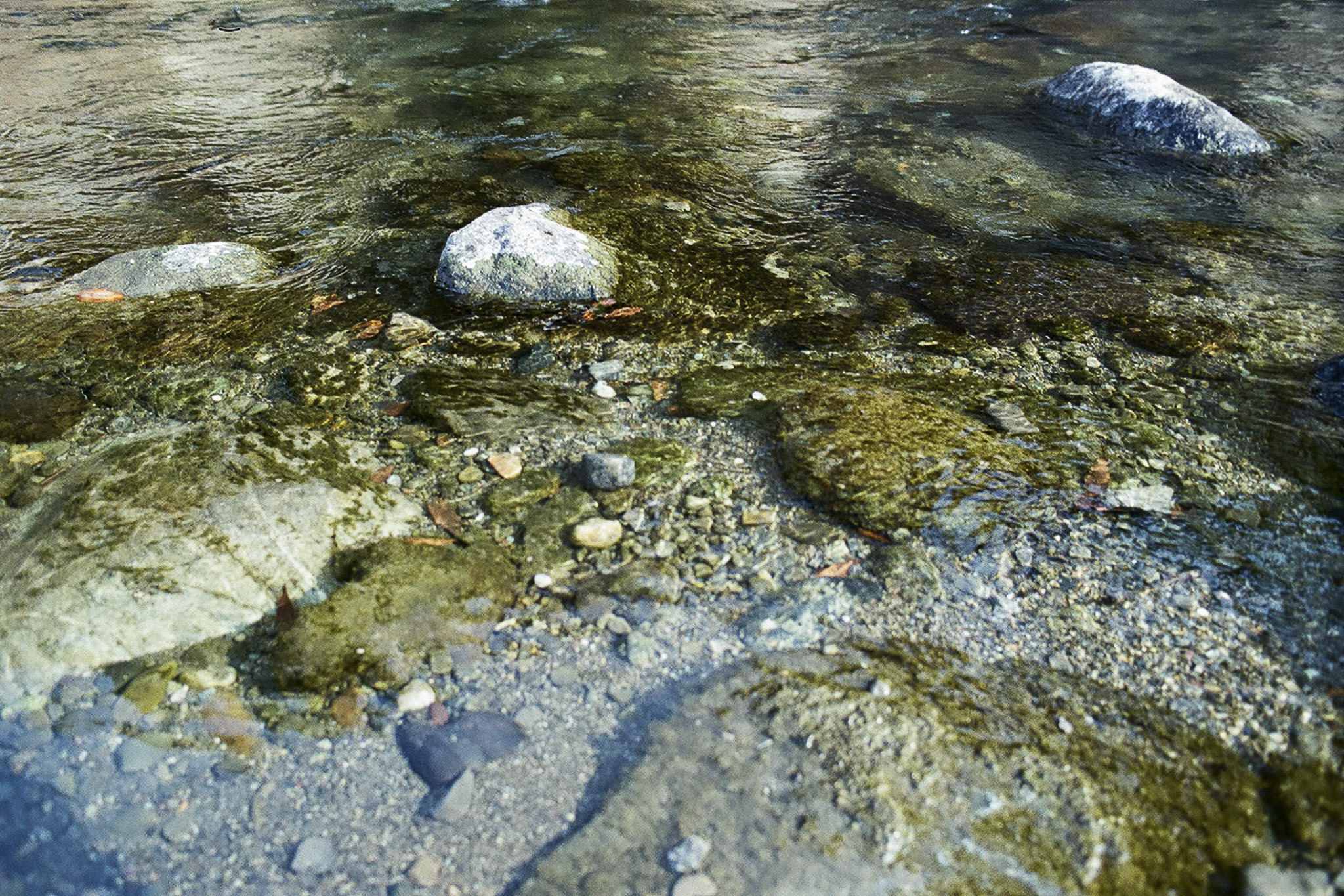 image12