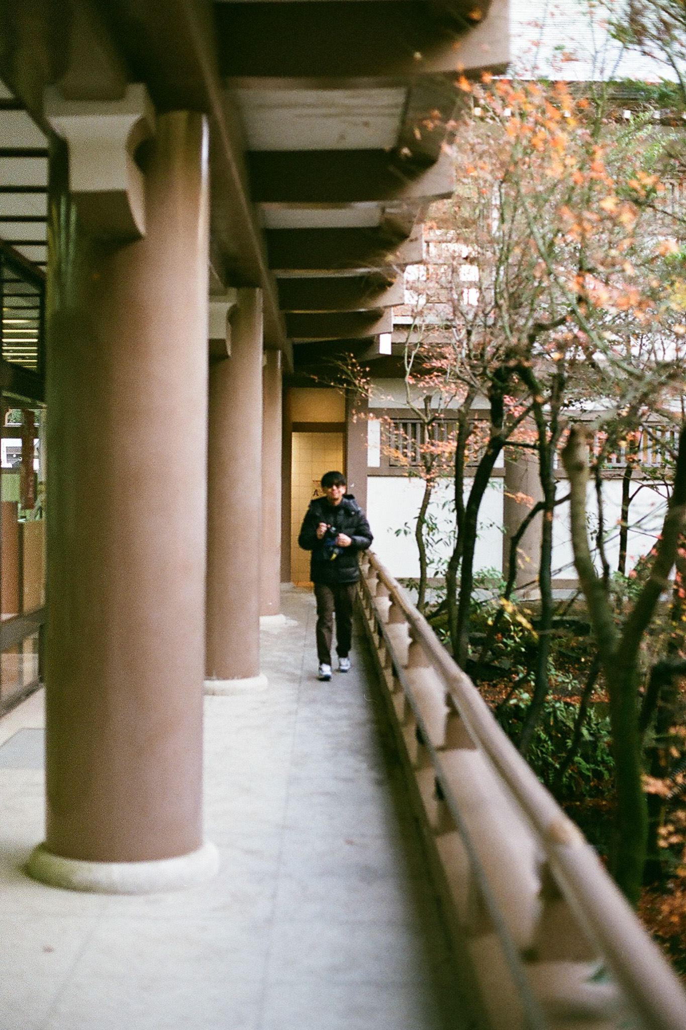image7