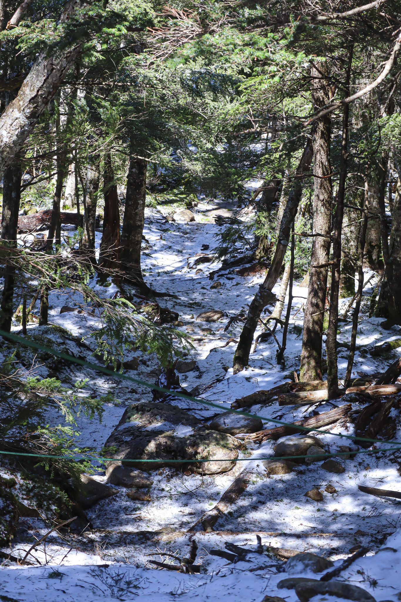 image3