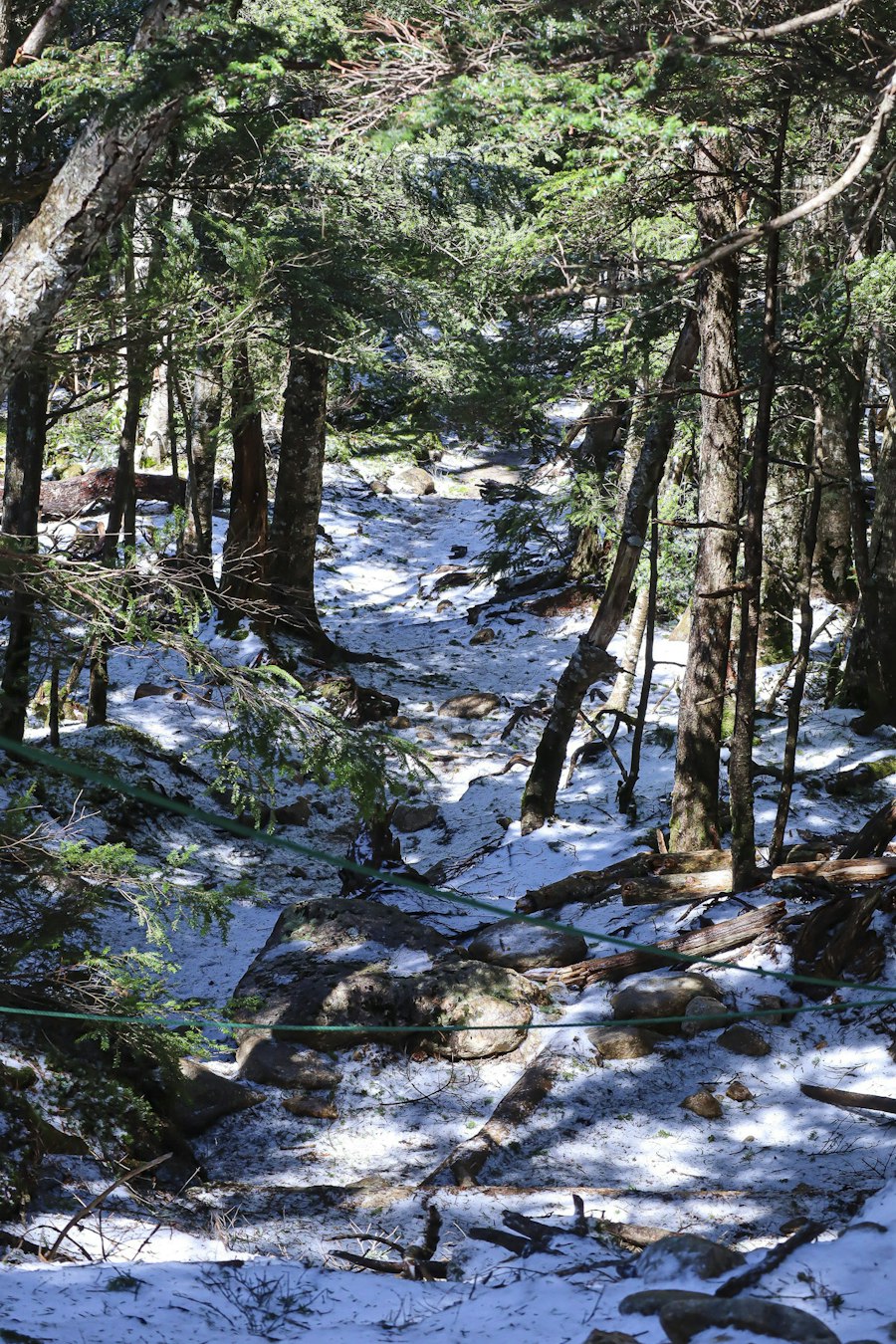 image3