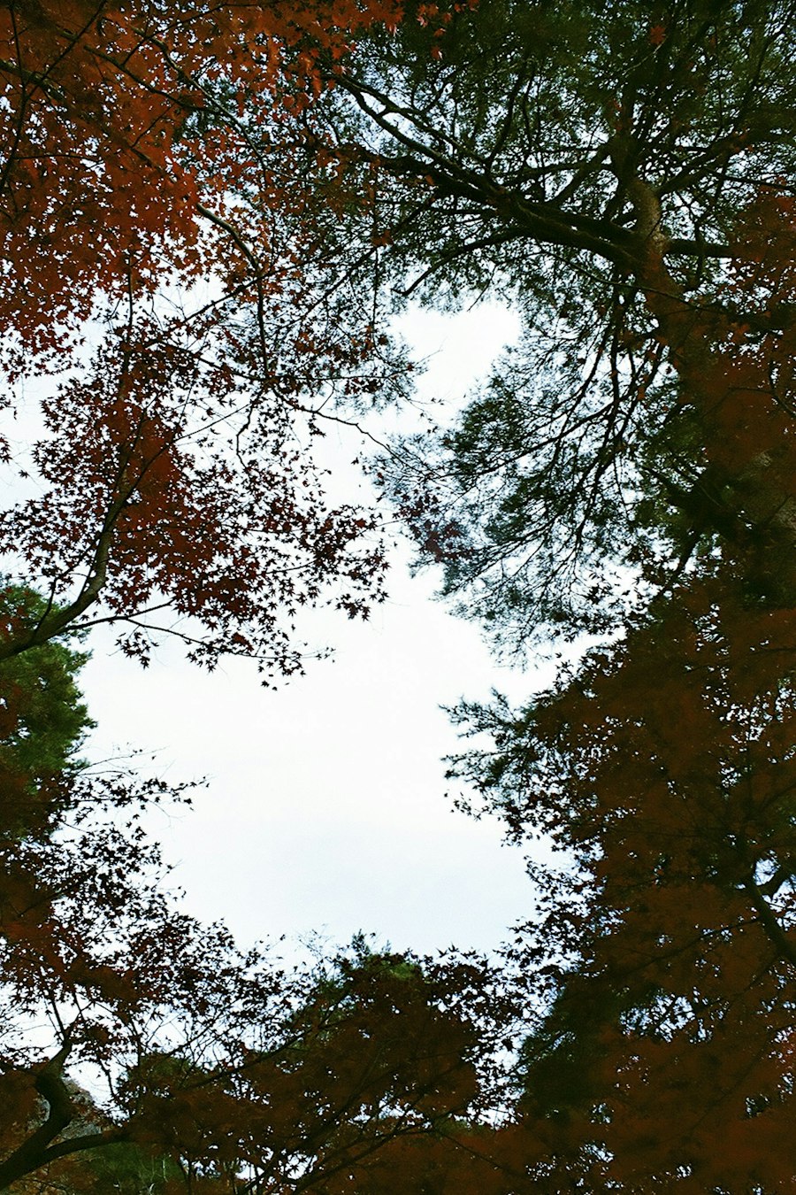 image9