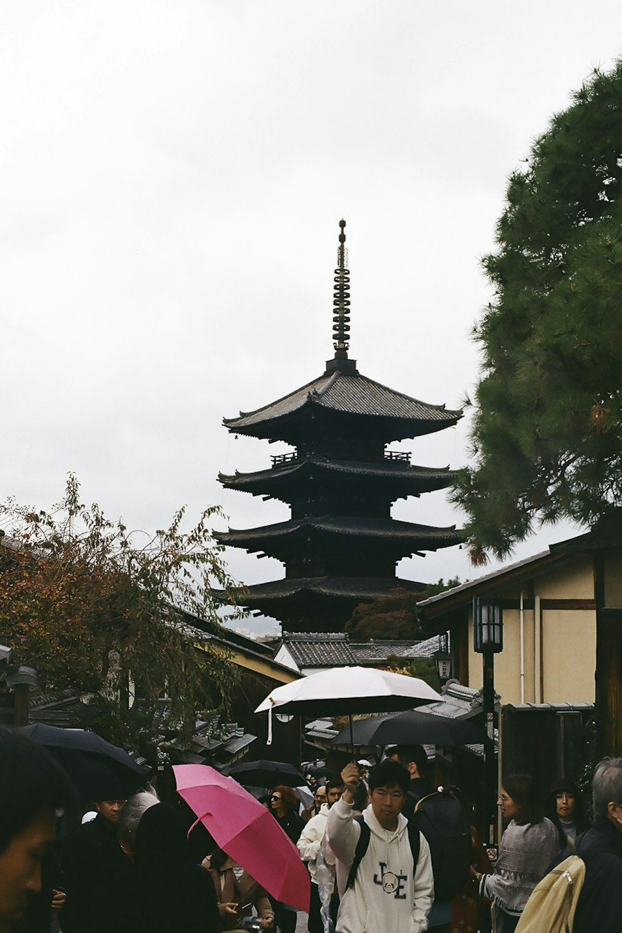 image5