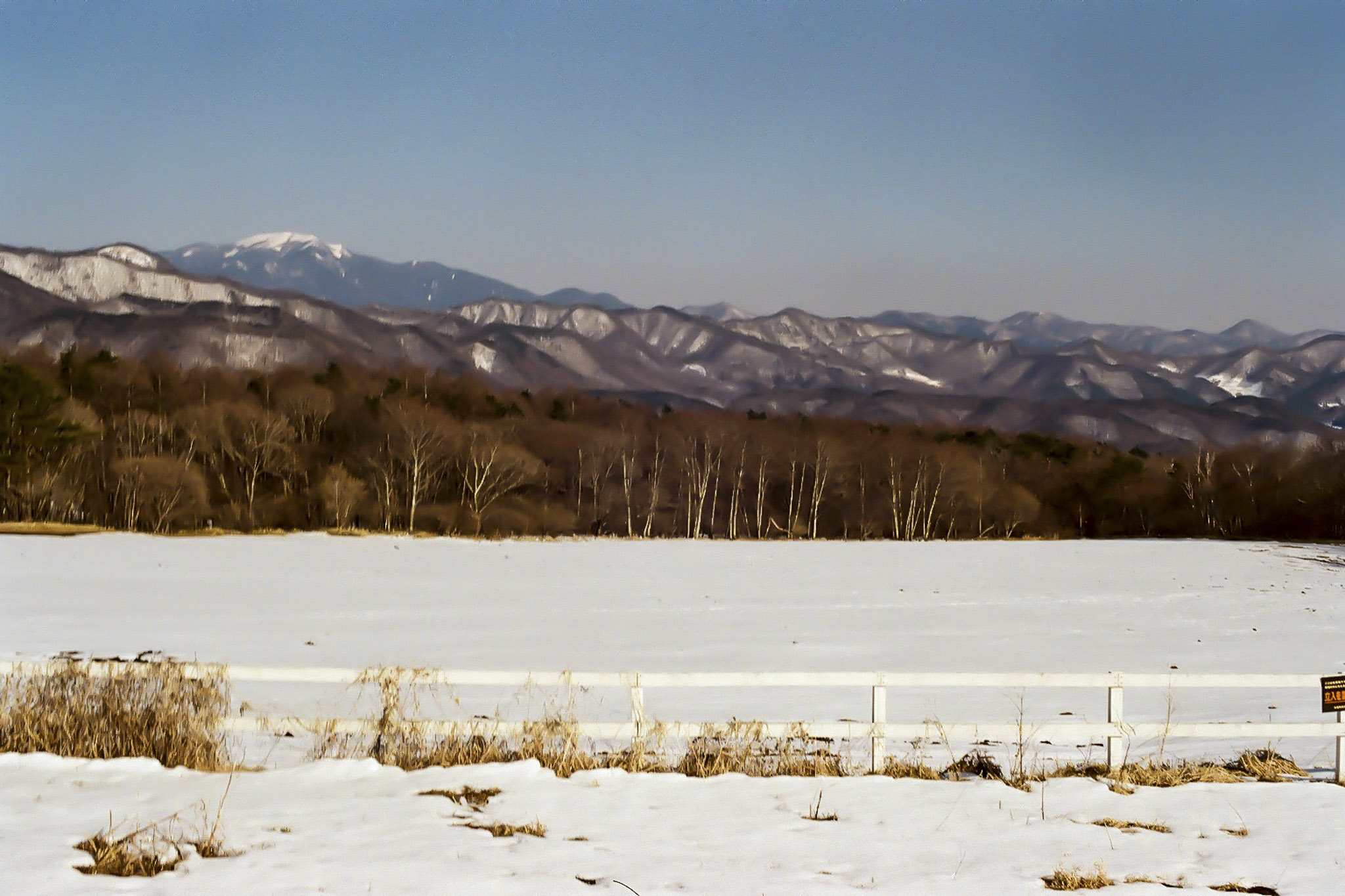 image14