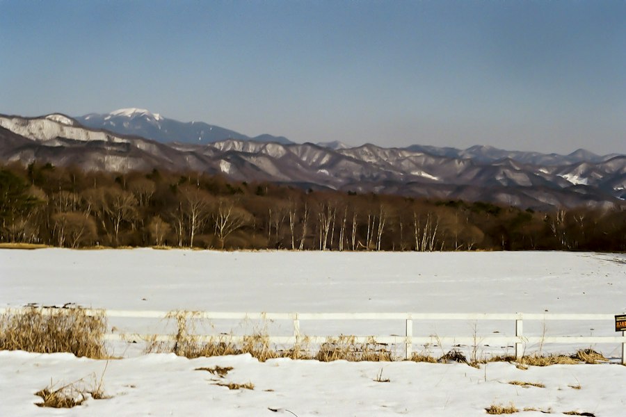 image14