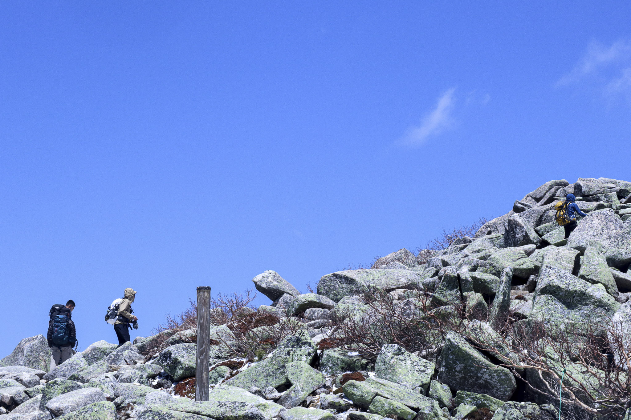 image11