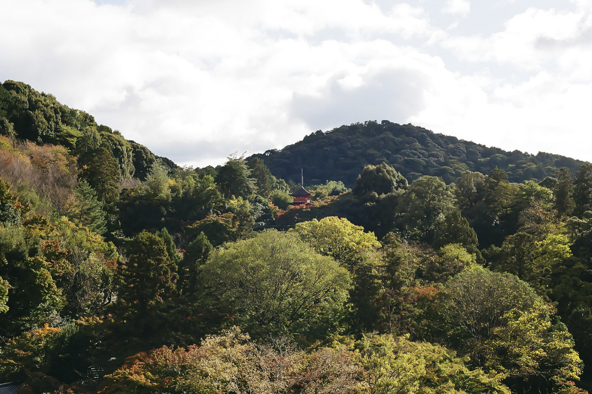 image20