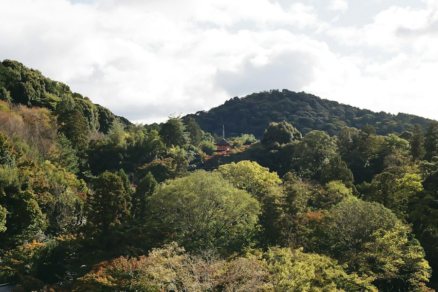 image20