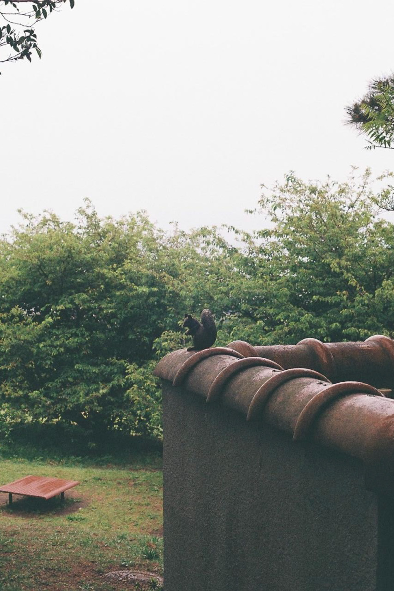 image6