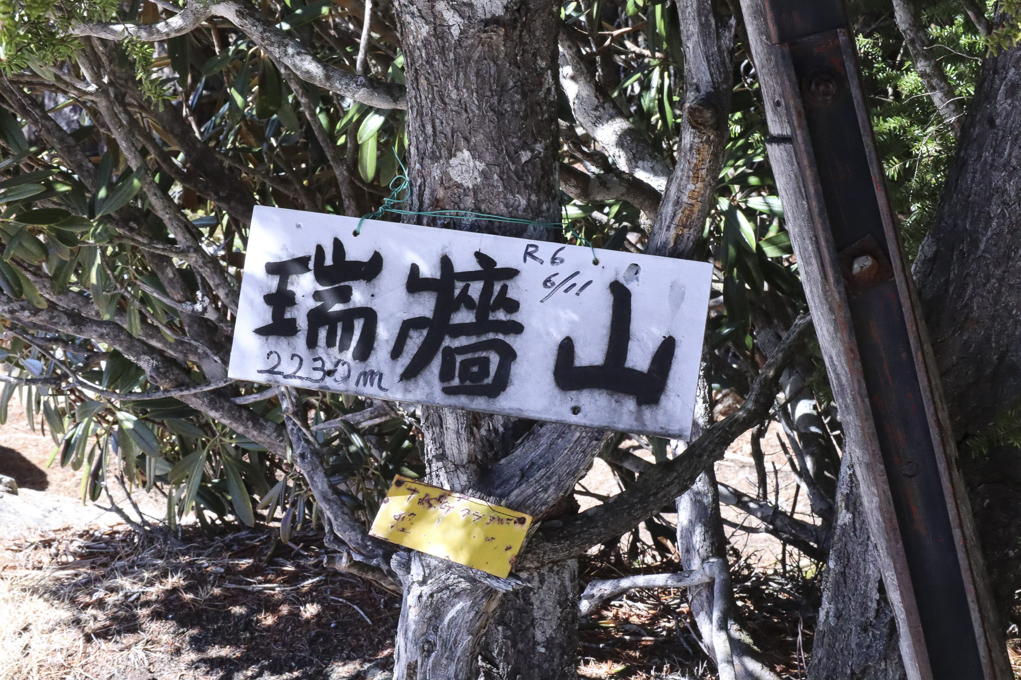 image4