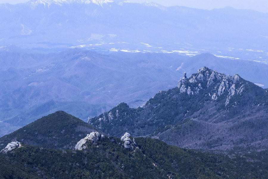 image7