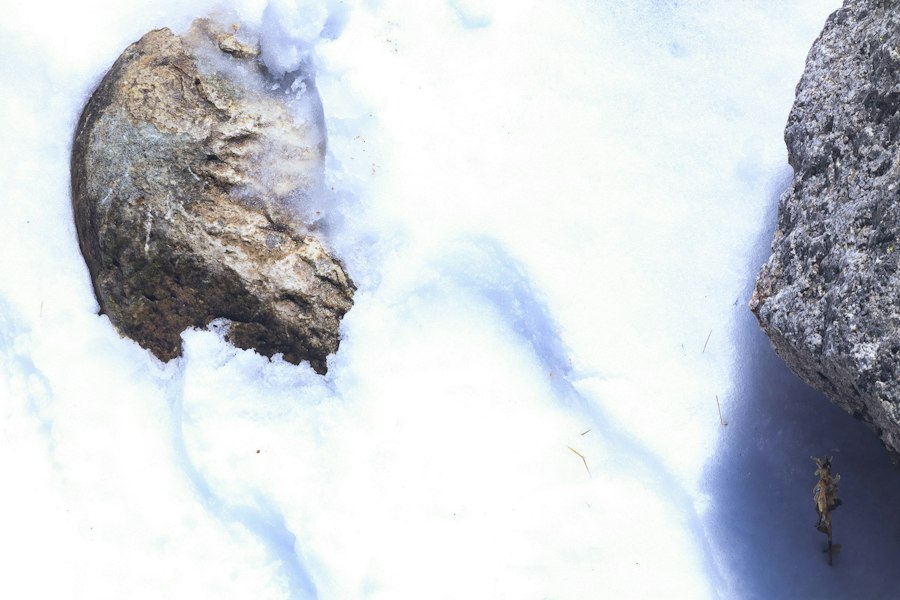 image15