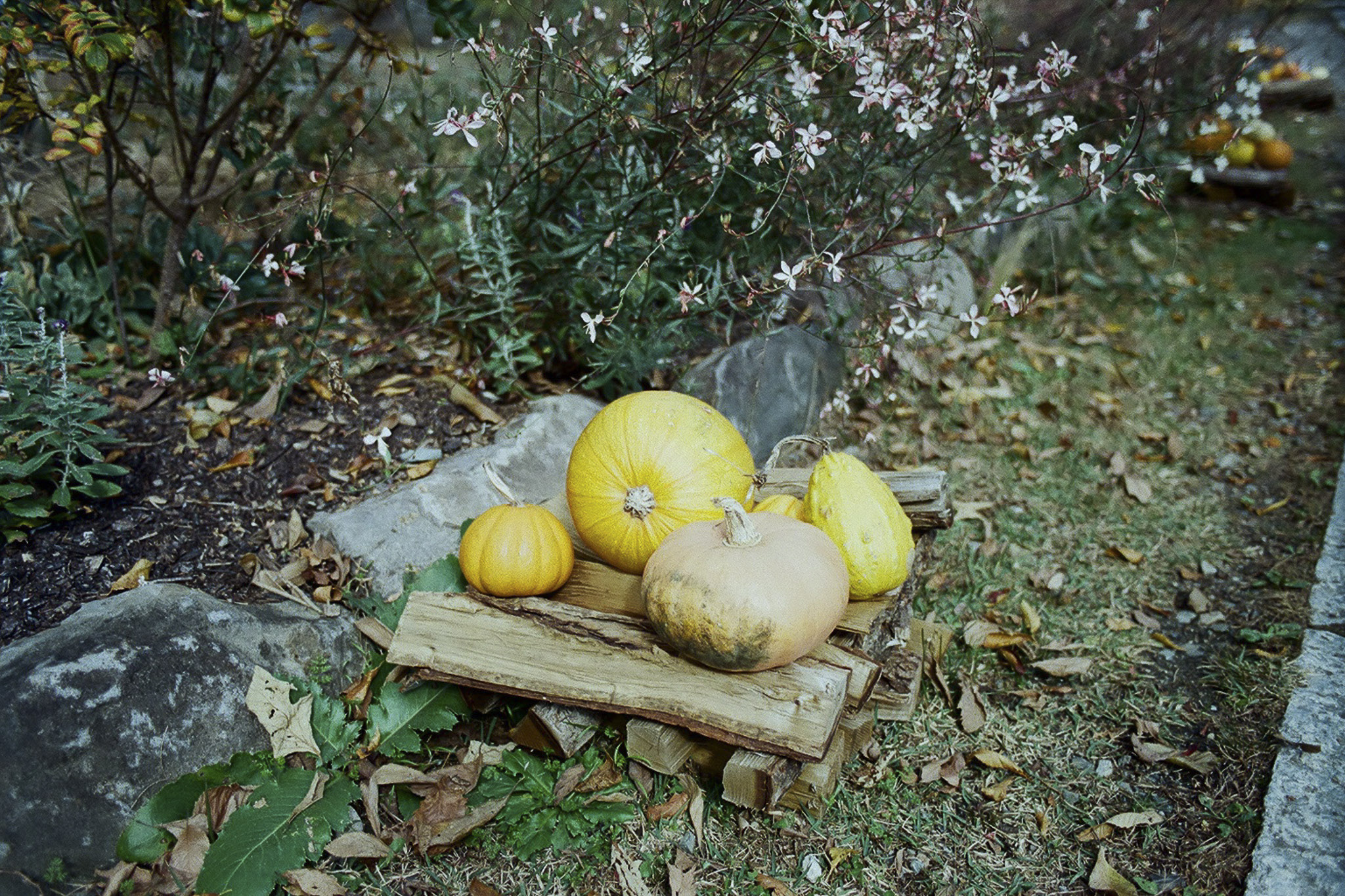 image6