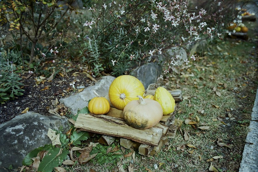 image6