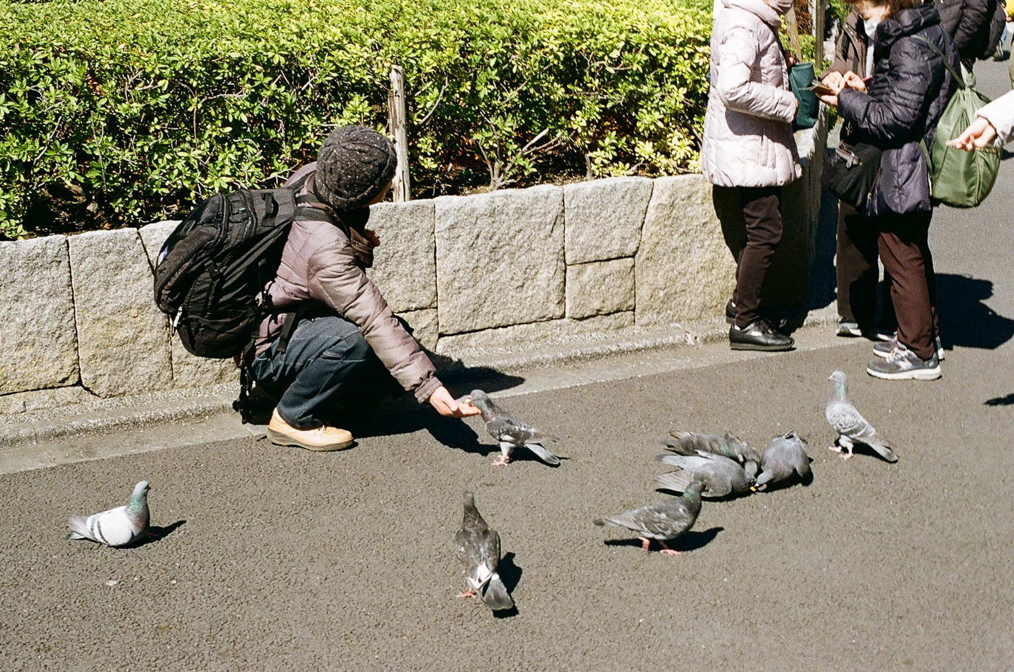 image14