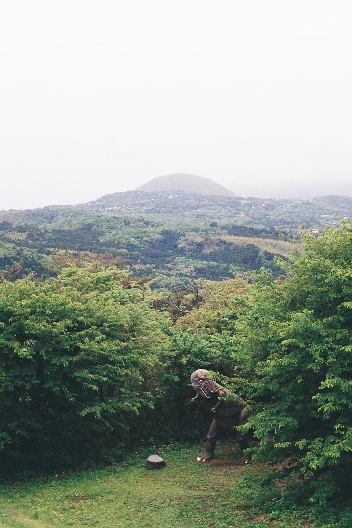 image7