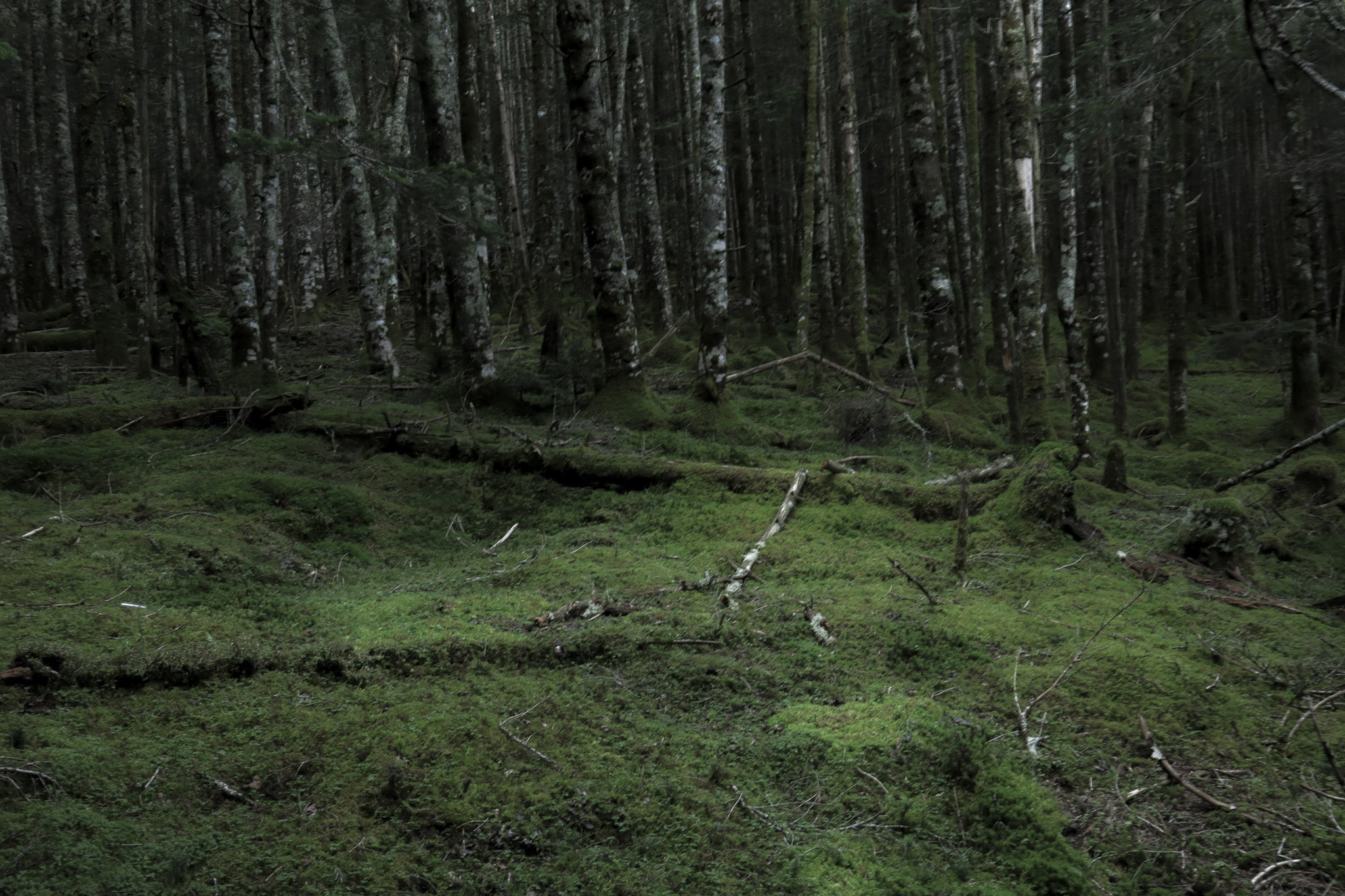 image4