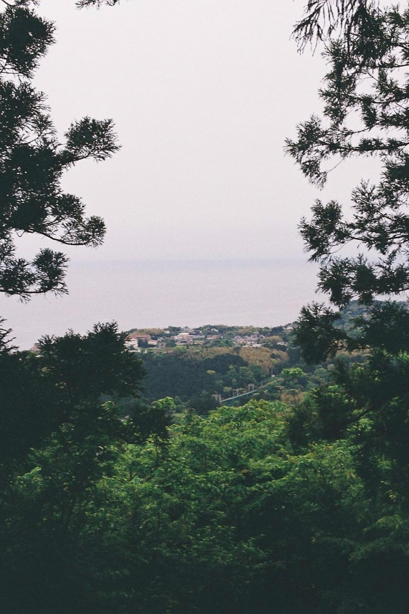 image8