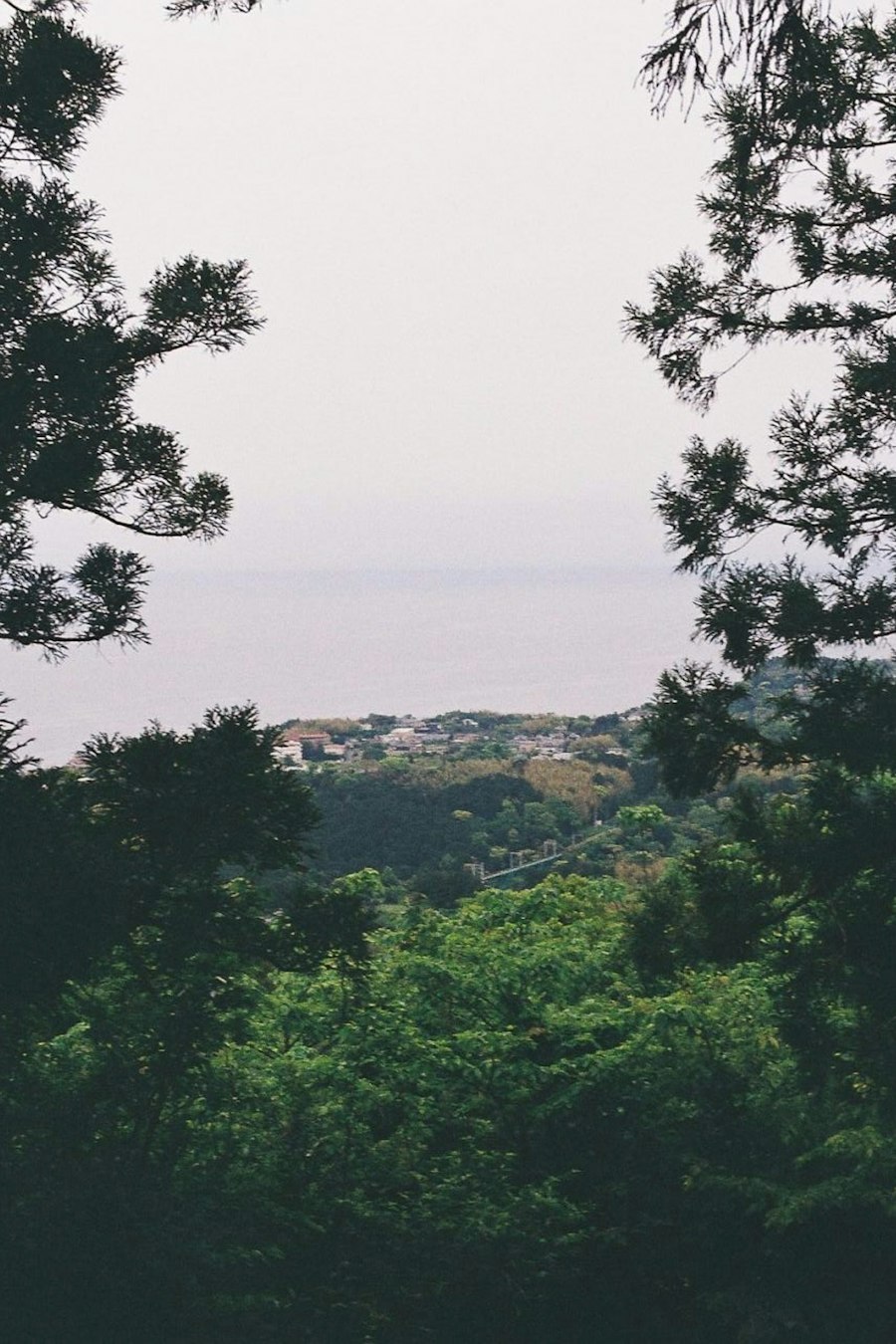 image8