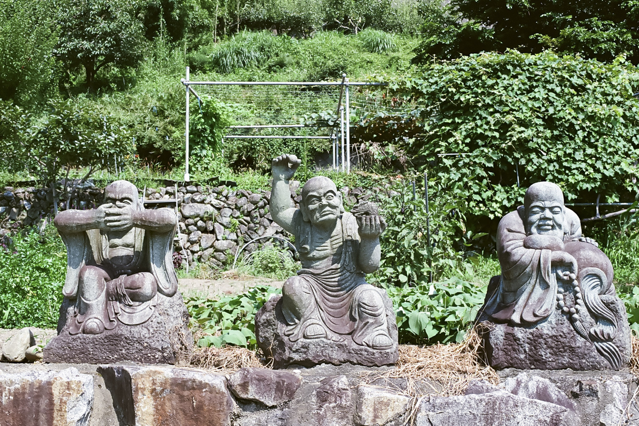 image6