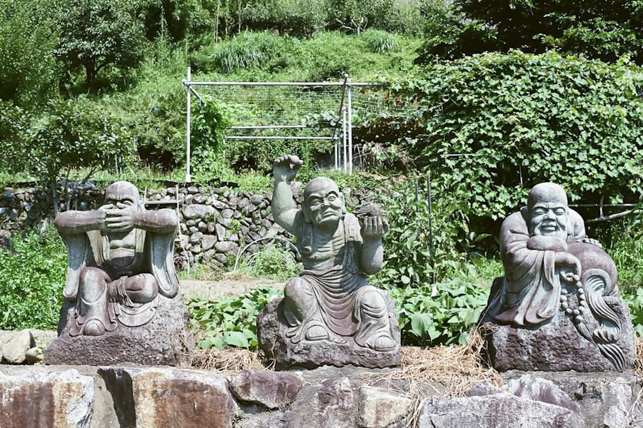 image6