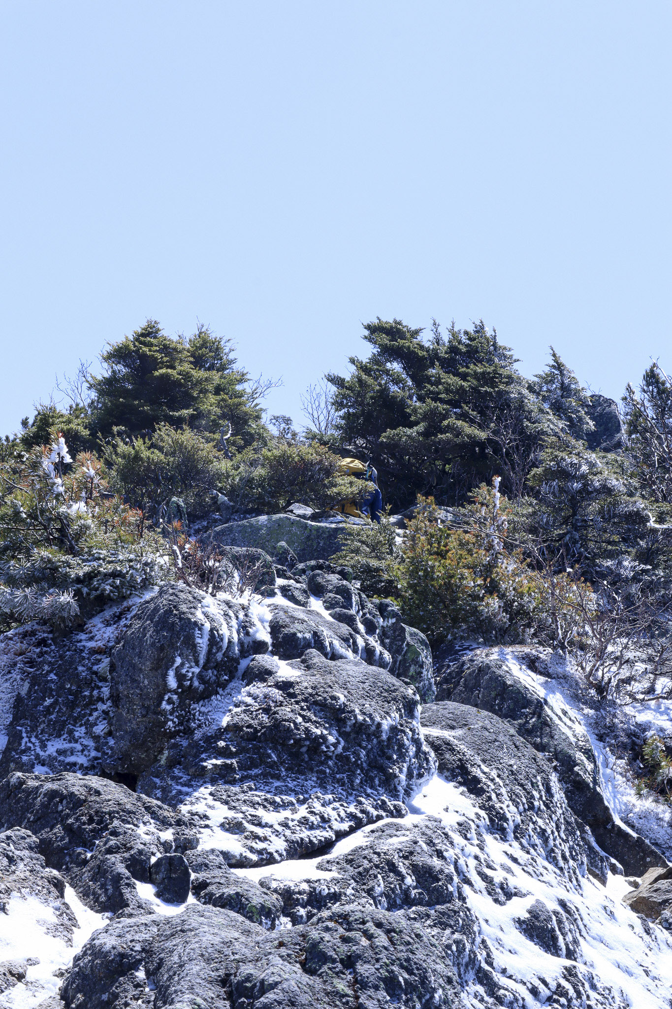 image10