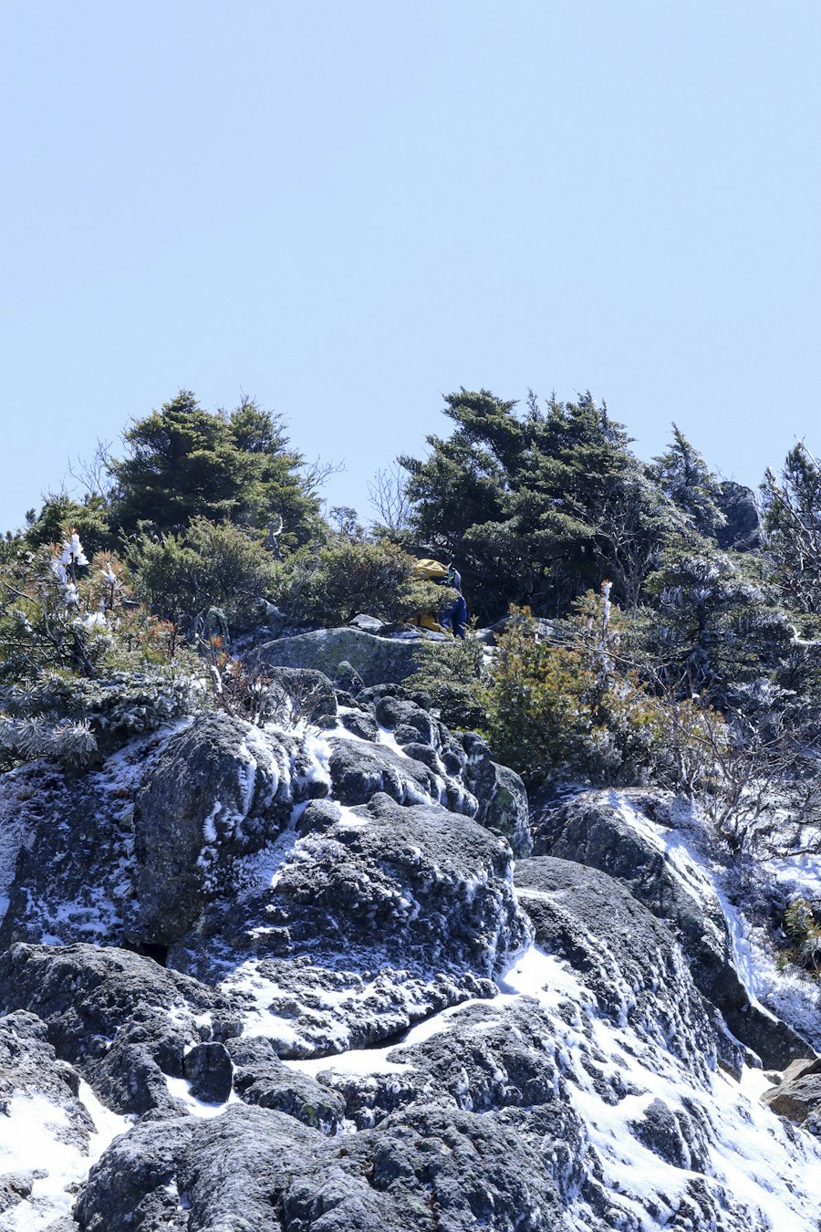 image10