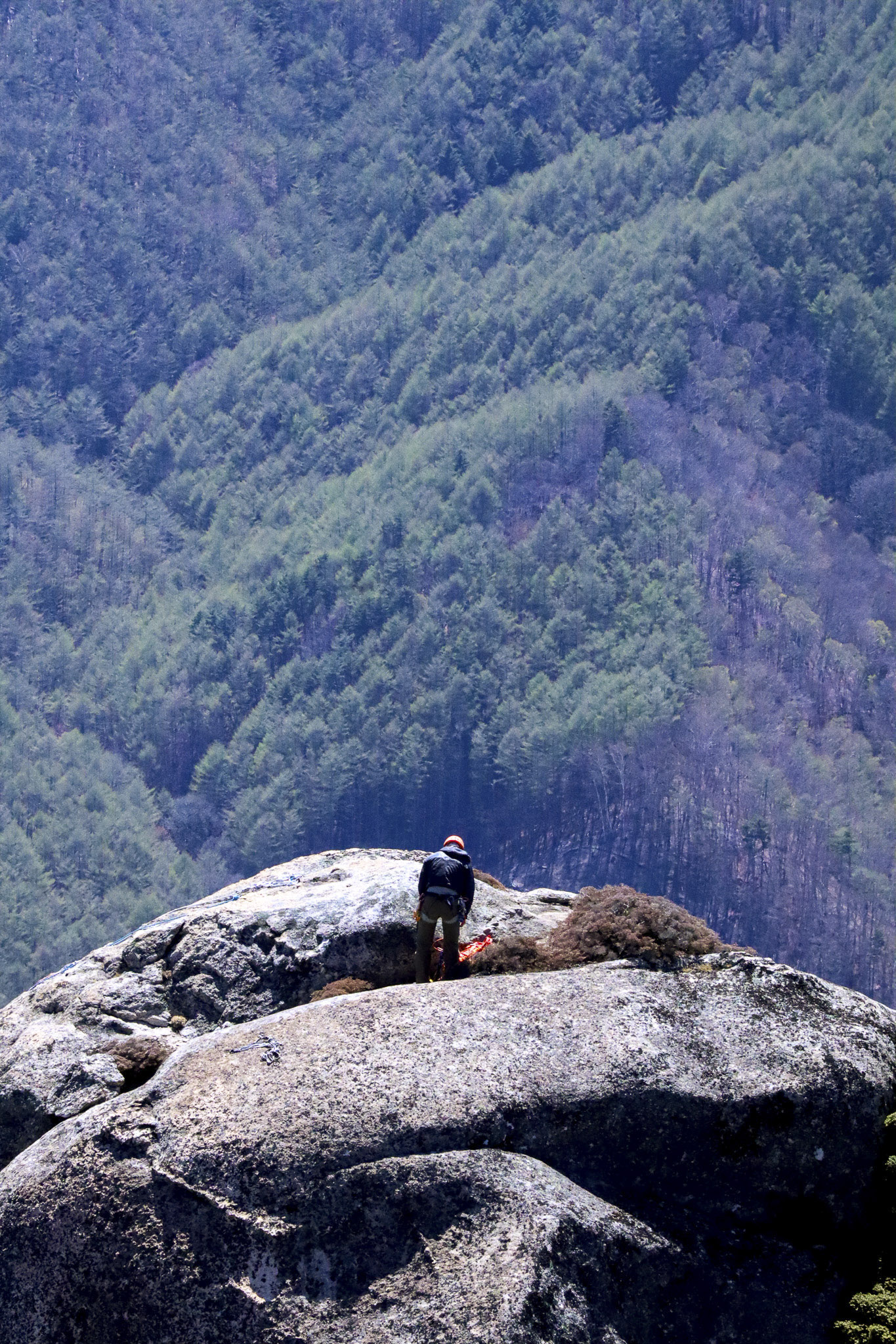 image13