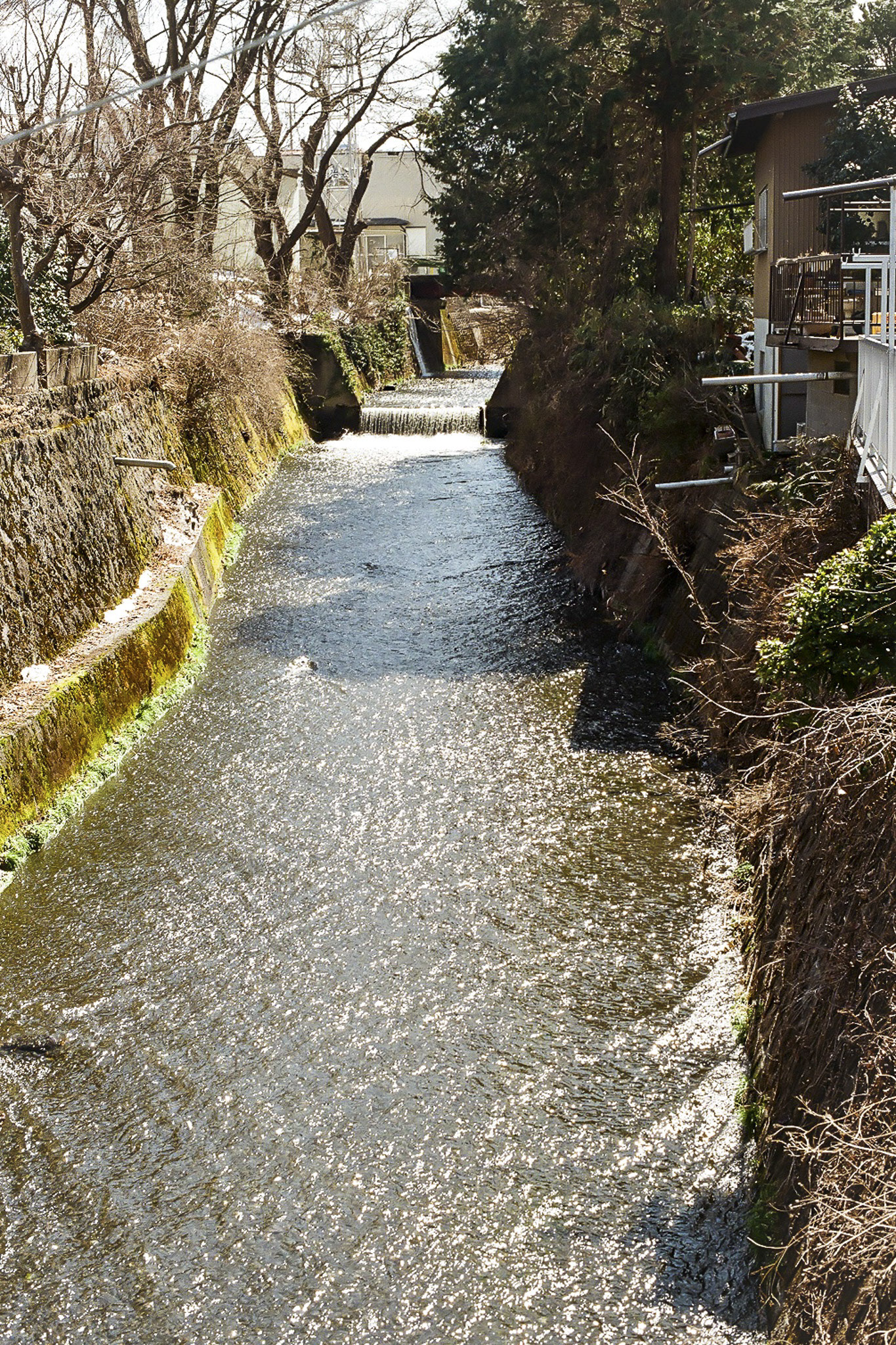 image11