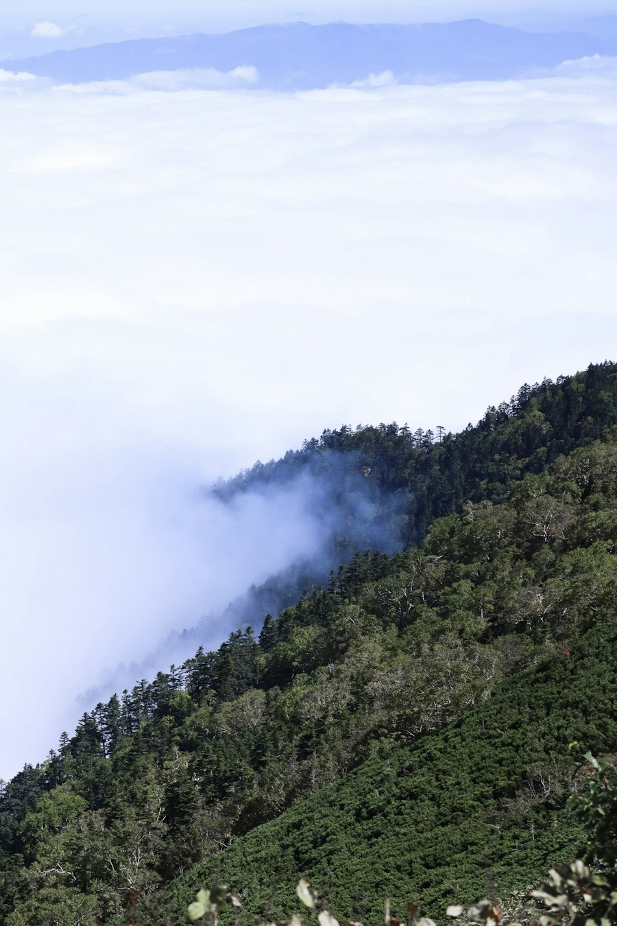image6
