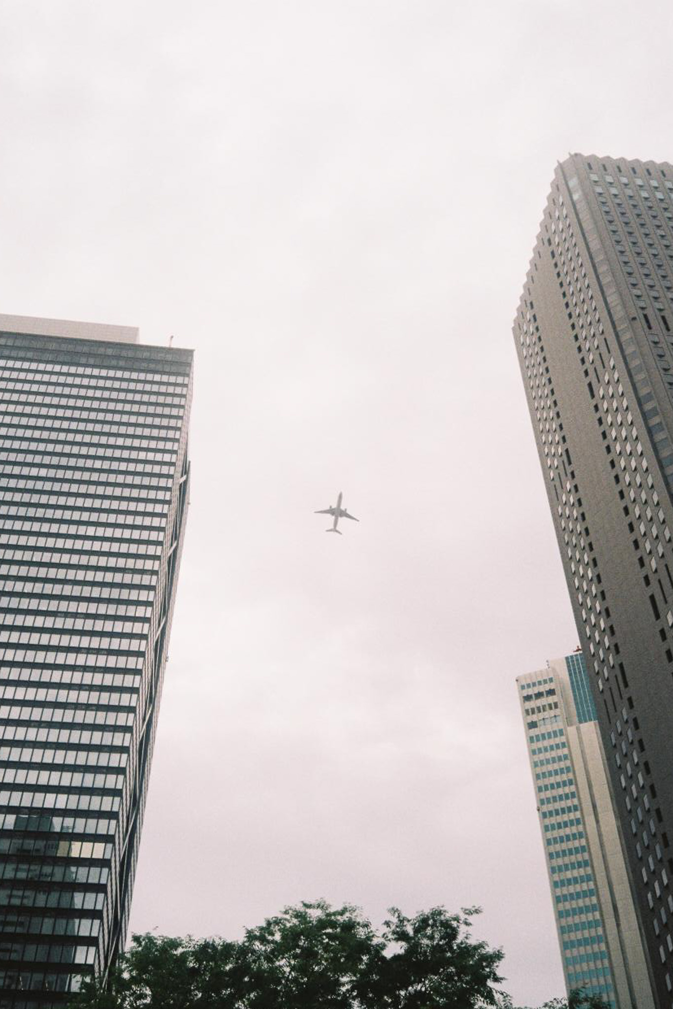 image8