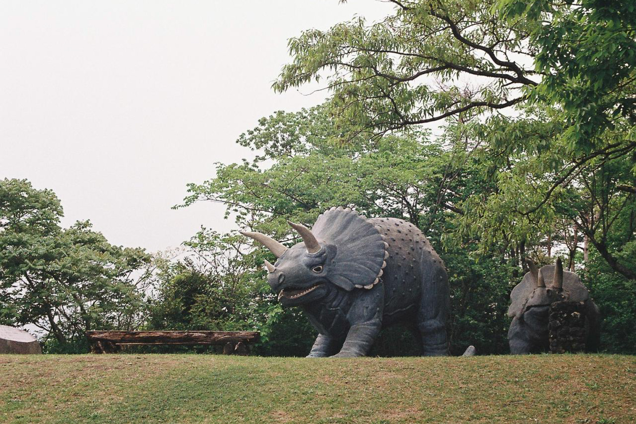 image5