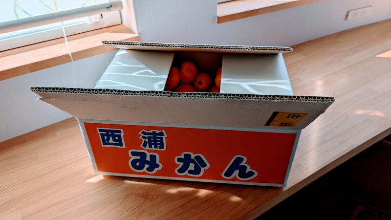 【撮影裏話】阿諏訪さんとのロケは…