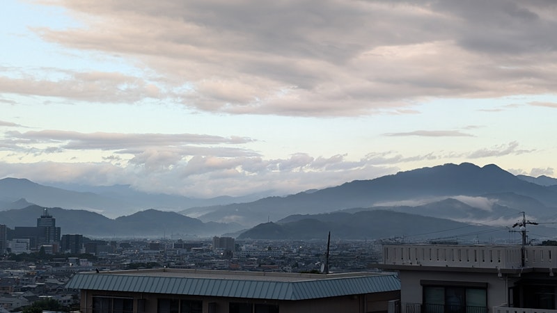 号泣して起きた朝