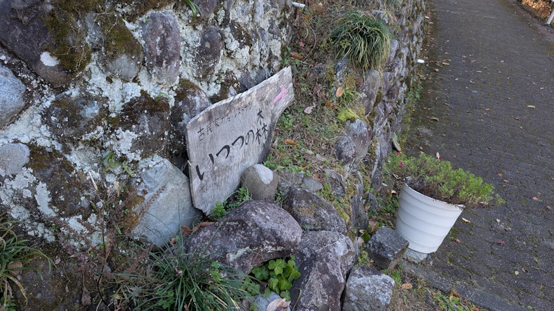 いつつの森さんの炭火焼きが忘れられず再訪問