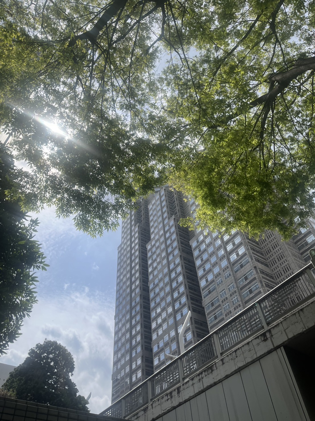 新年度スタート