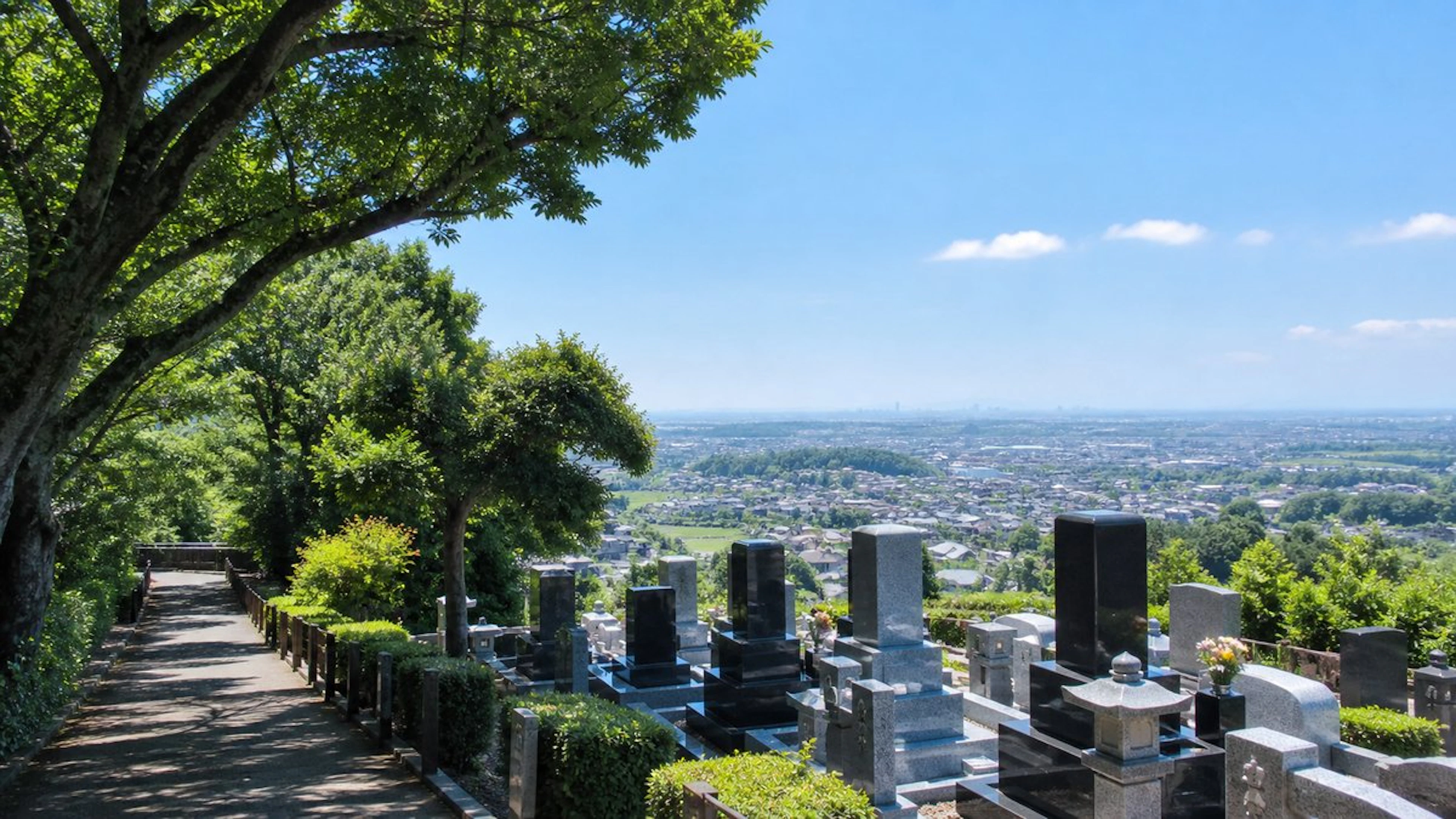 秦野市の墓じまい｜手続き・費用・改葬窓口の完全ガイド