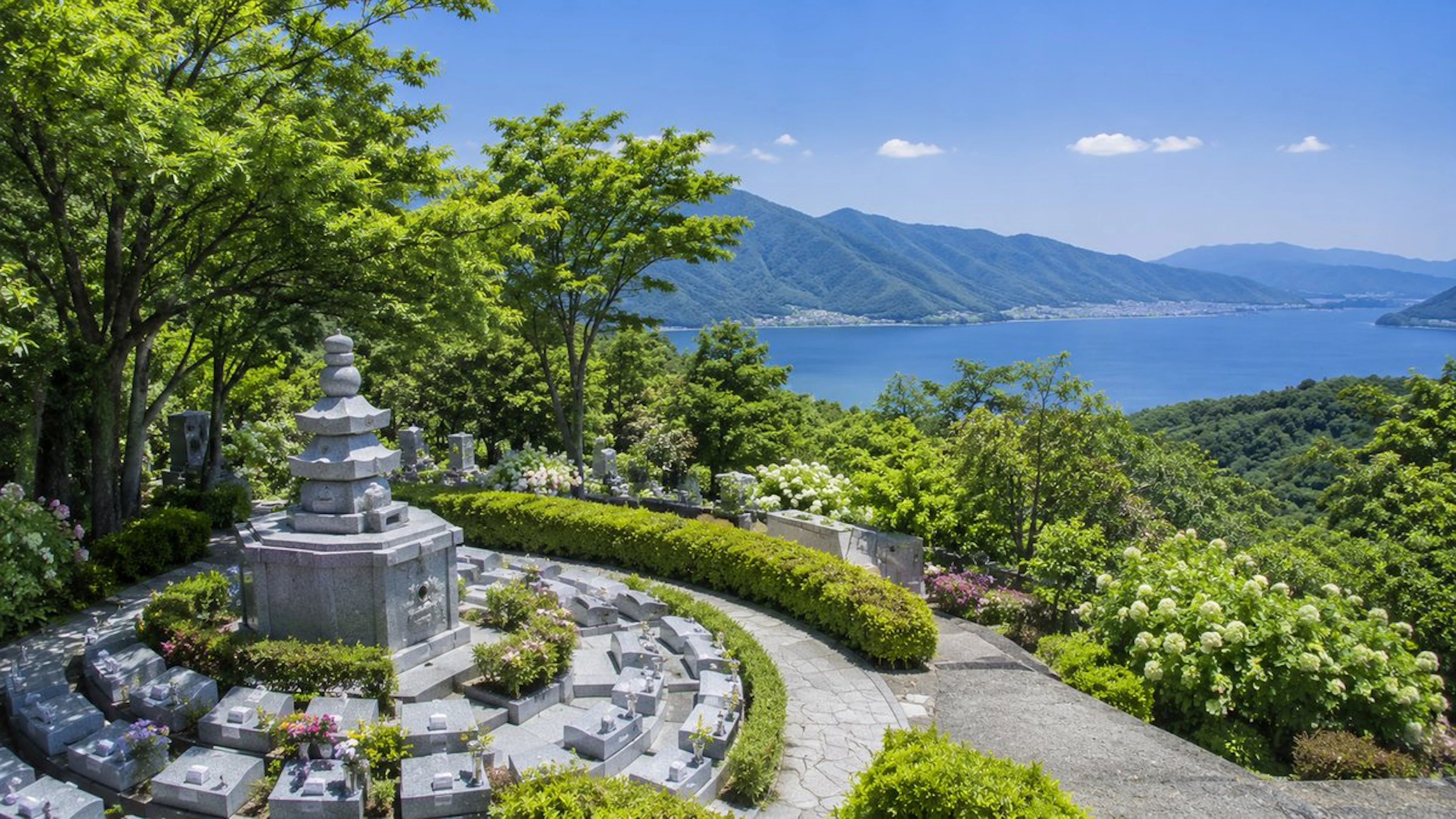 坂井市の墓じまい｜手続き・費用・改葬窓口の完全ガイド