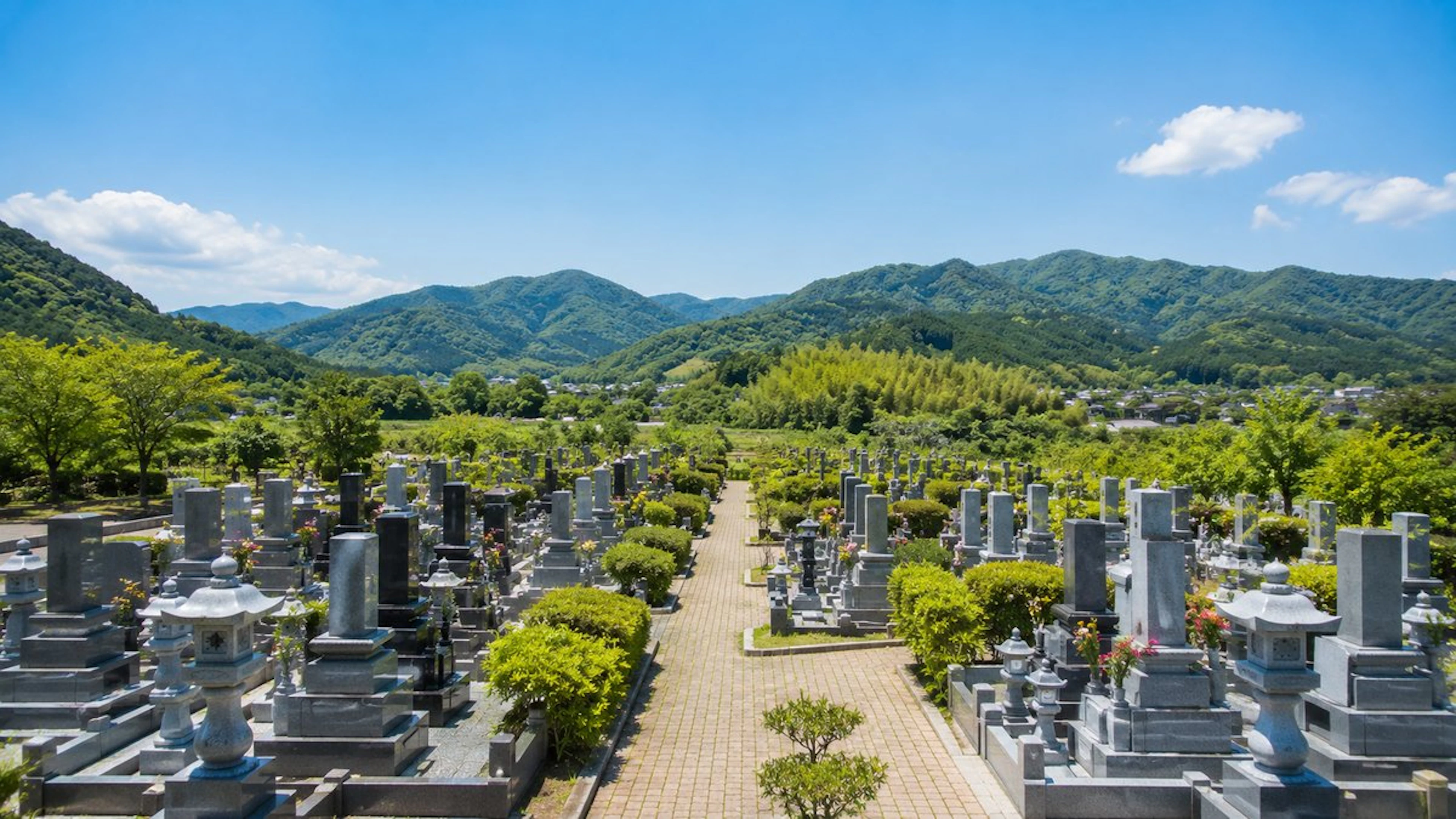彦根市の墓じまい｜手続き・費用・改葬窓口の完全ガイド