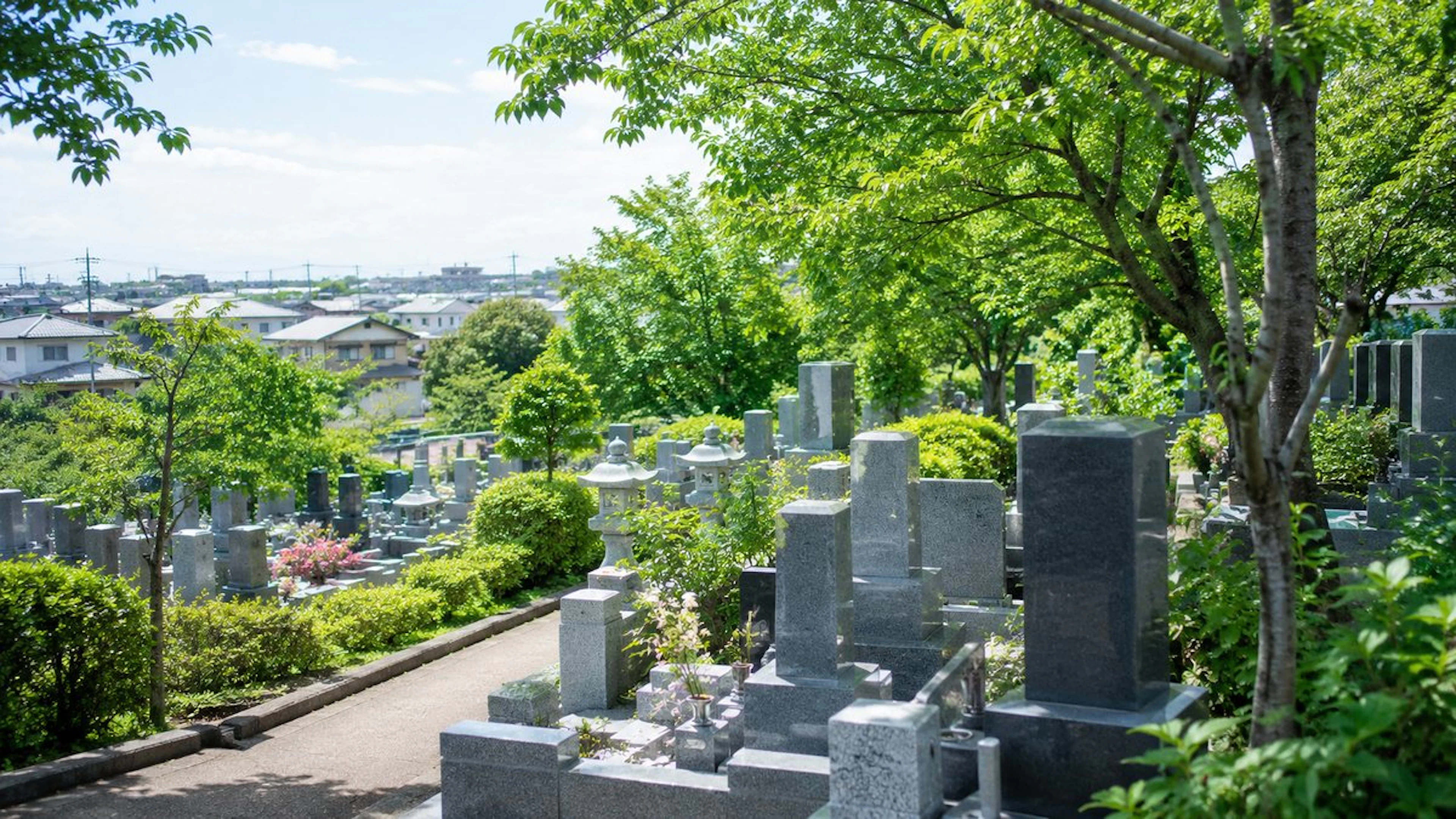 坂戸市の墓じまい｜手続き・費用・改葬窓口の完全ガイド