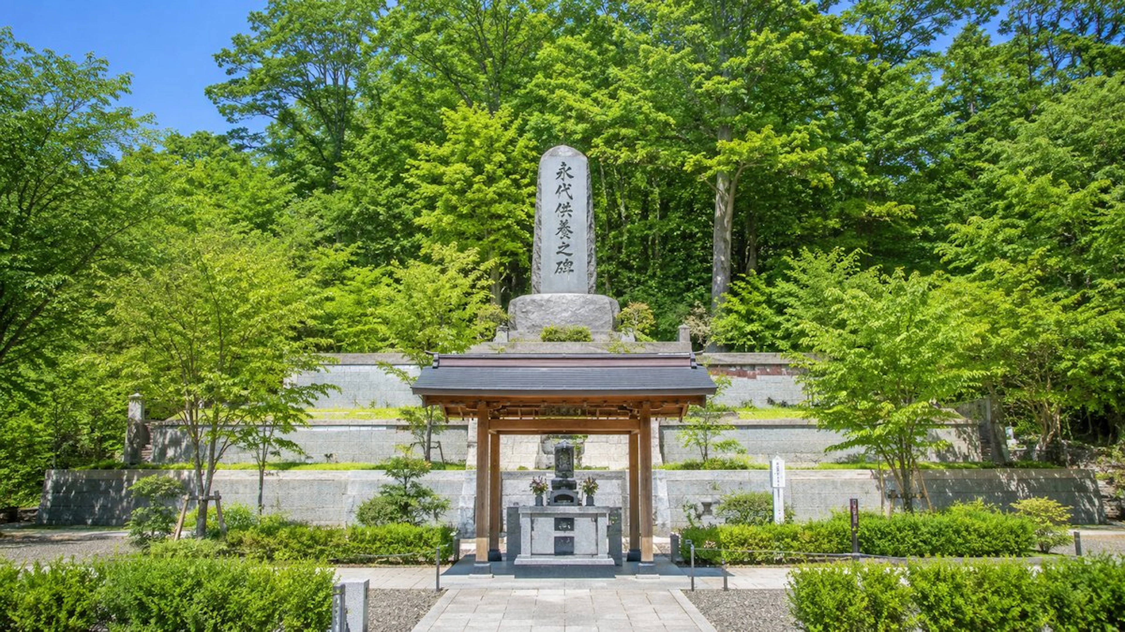 会津若松市の墓じまい｜手続き・費用・改葬窓口の完全ガイド