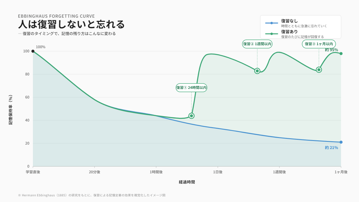 エビングハウスの忘却曲線と復習による記憶定着の違いを示したグラフ