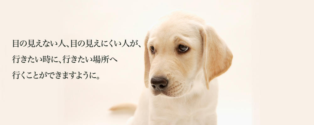 盲導犬協会トップページ｜日本盲導犬協会