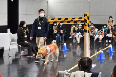 盲導犬デモンストレーション